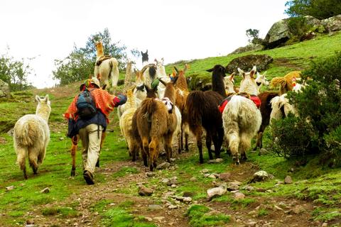 Full-Day Community Tour Peru